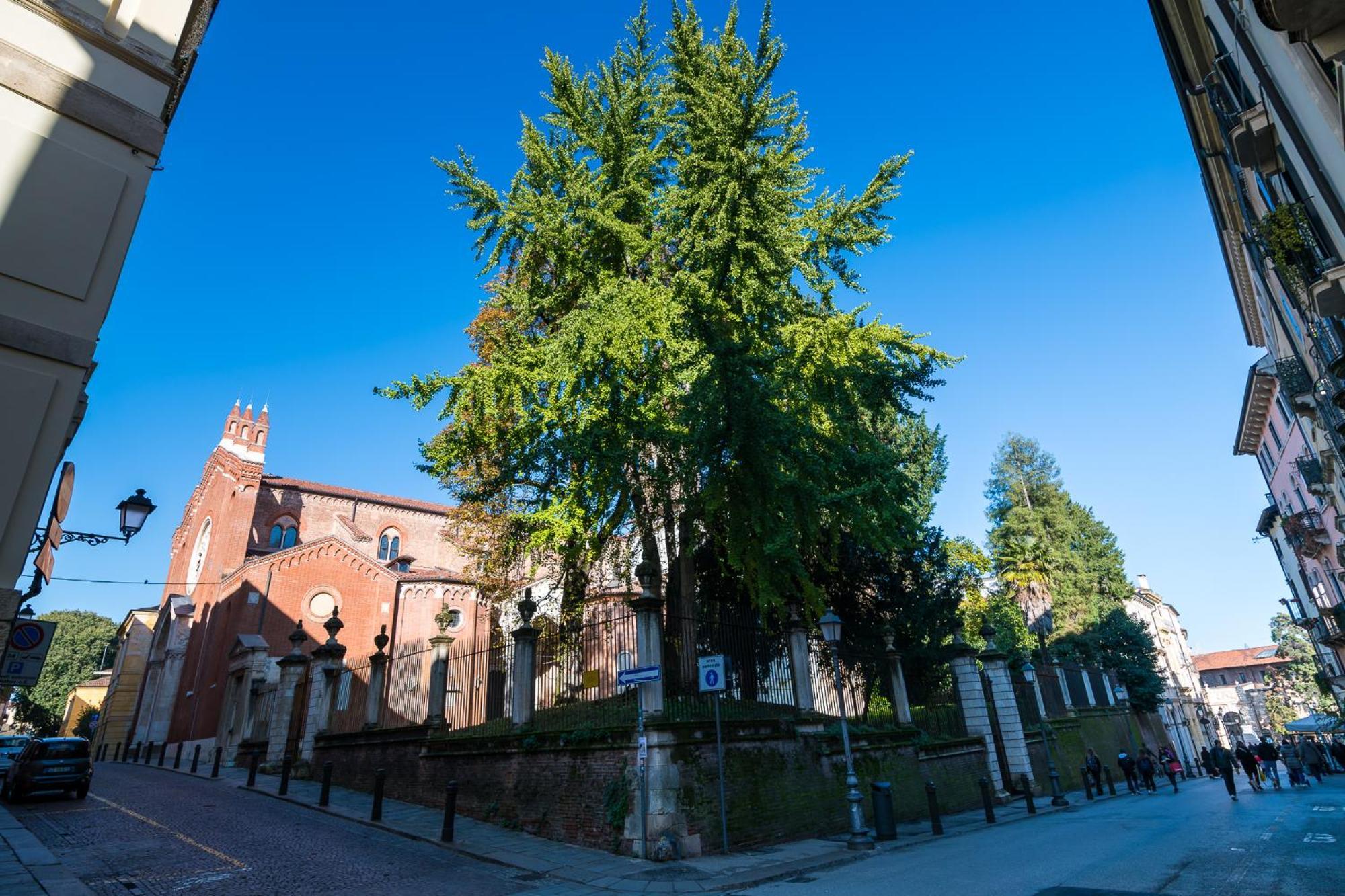 Residenza Corso Palladio 159 Vicenza Exterior foto